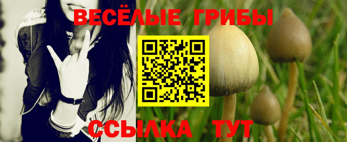 как найти закладки  Галлюциногенные грибы Cubensis  Вход с VPN  Острогожск 